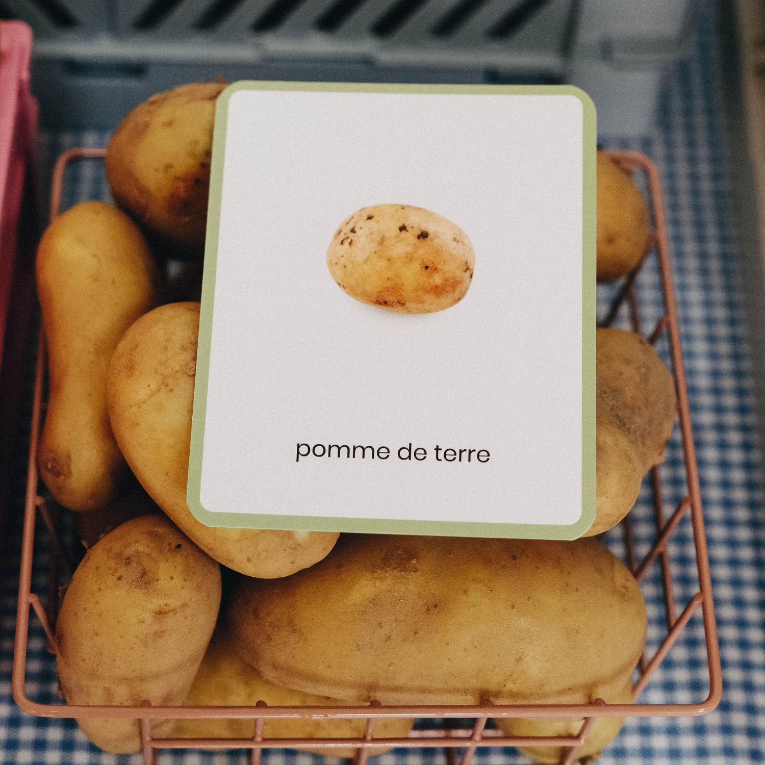 Coffret Mini Mondy (jeu de langage autour des fruits et légumes) (Observe Édition) - Image 5