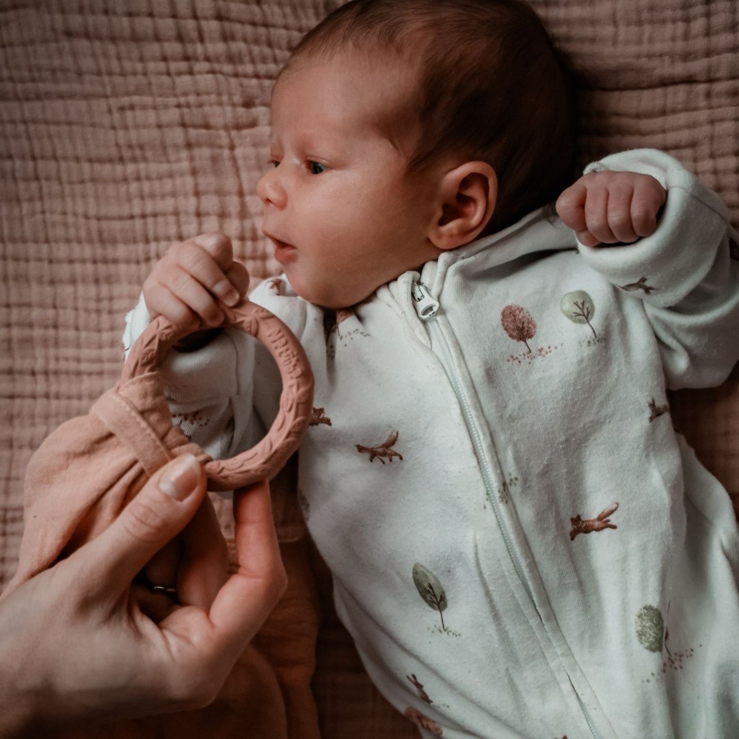Doudou de dentition Leaf Rose (Natruba) - Image 1