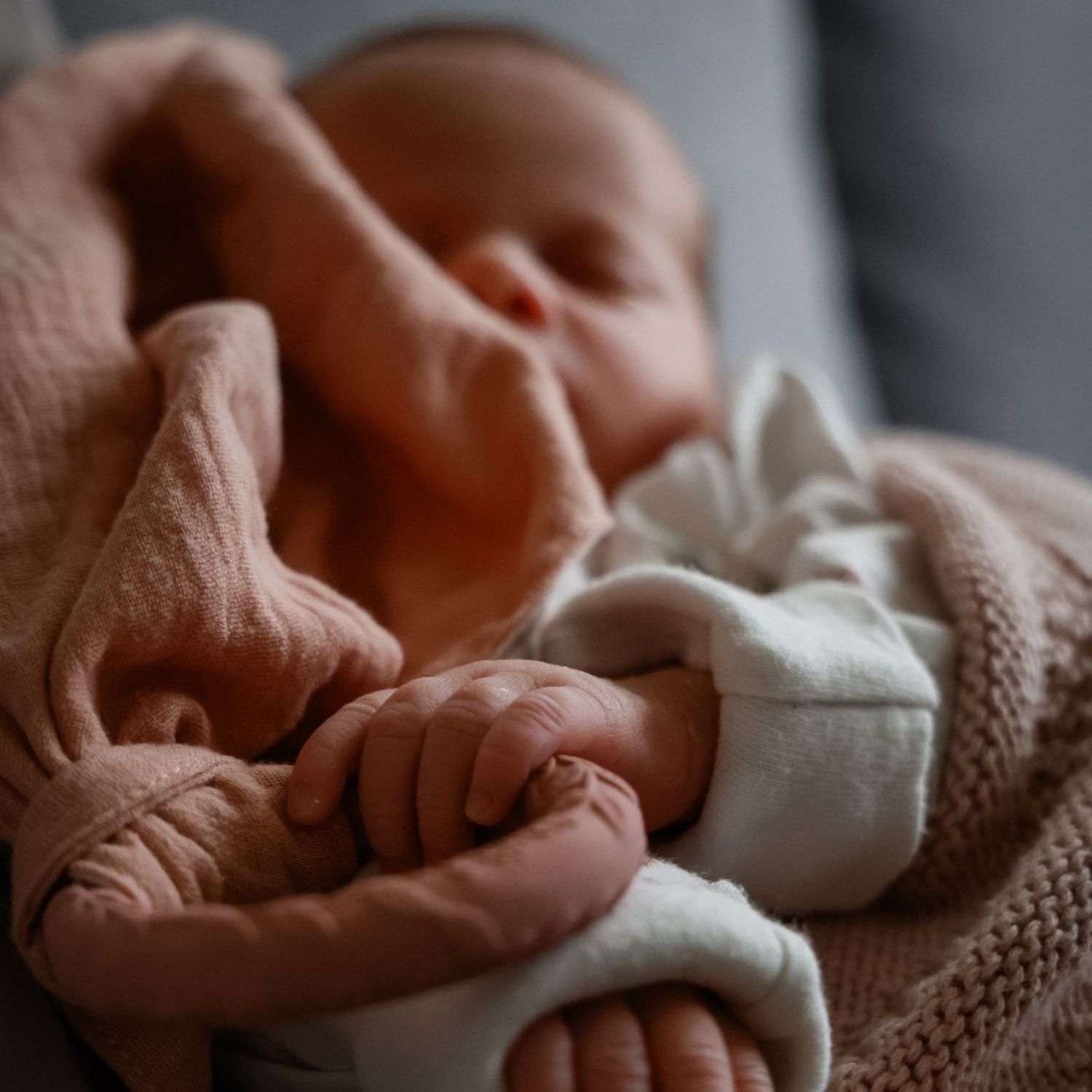 Doudou de dentition Leaf Rose (Natruba) - Image 3