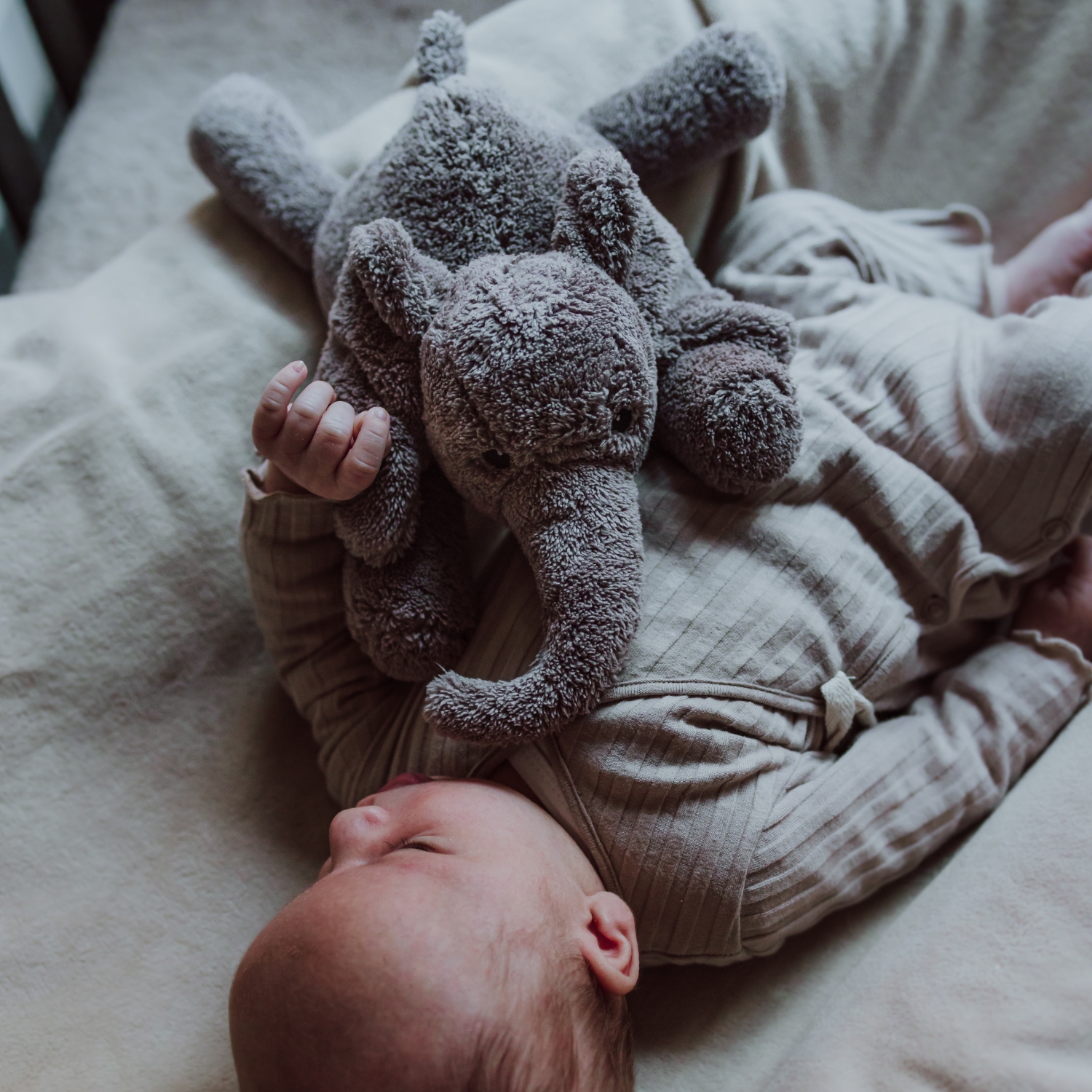 FLOW - Peluche bruit blanc George l'éléphant gris
