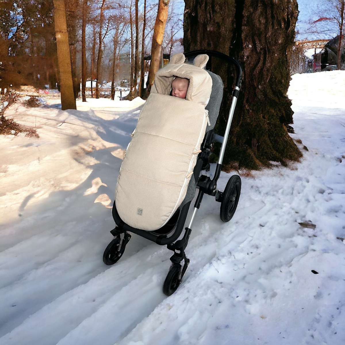 Chancelière d'hiver Hau Kea sand shell (Kaiser) - Image 2