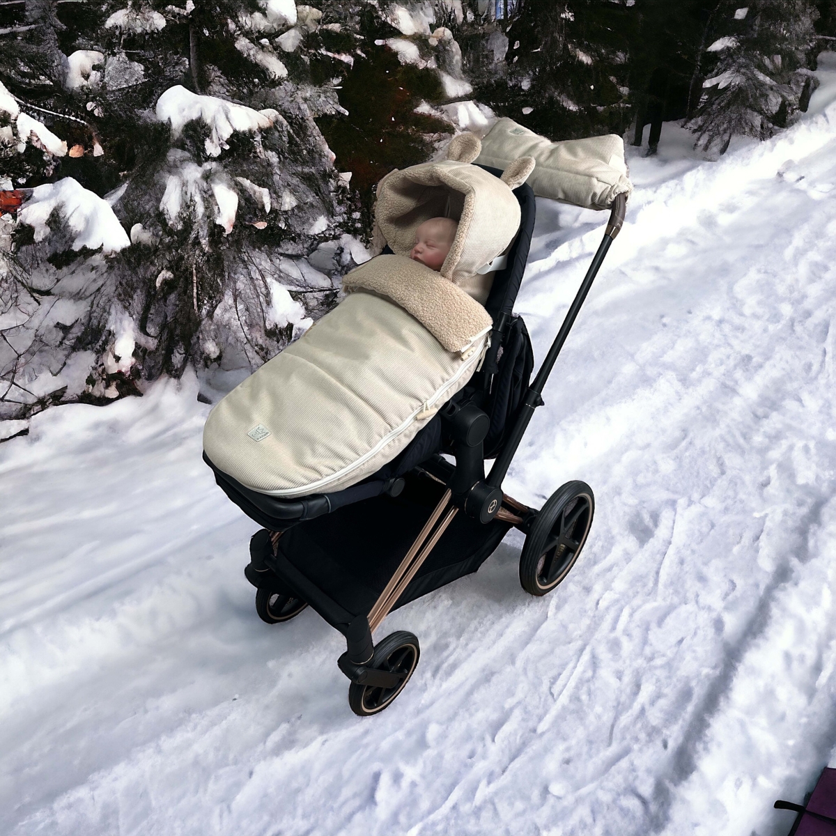 Chancelière d'hiver Hau Kea sand shell (Kaiser) - Image 3