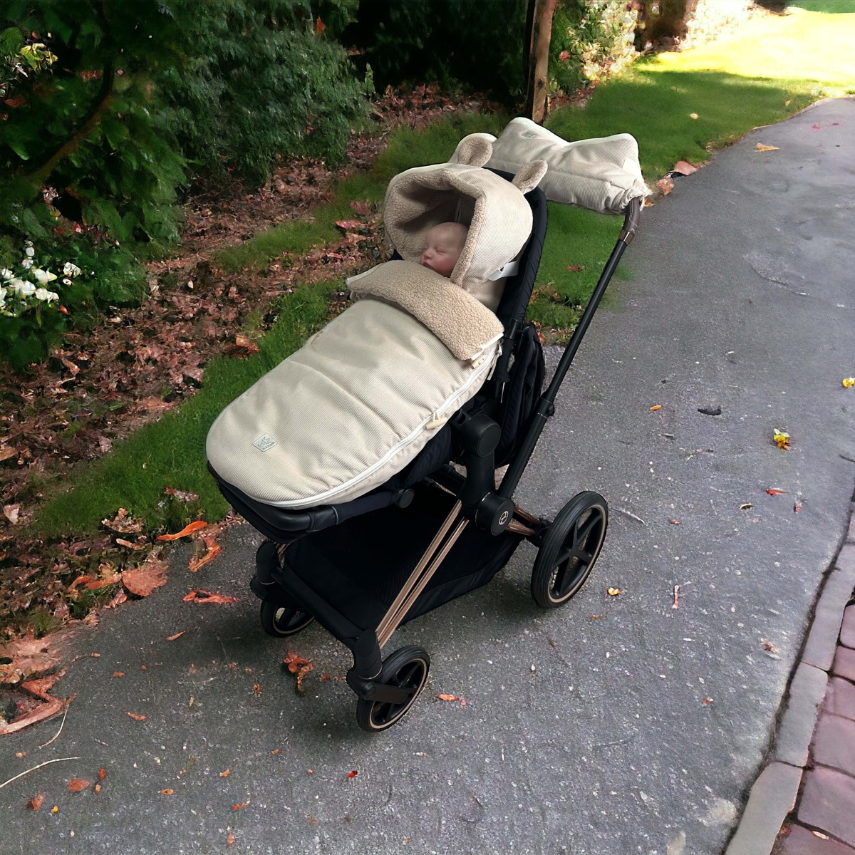 Chancelière d'hiver Hau Kea sand shell (Kaiser) - Image 4