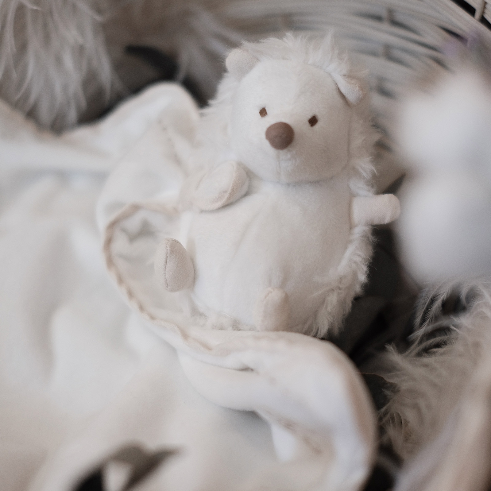 Doudou plat Léon le hérisson écru (25 x 25 cm) (Tartine et Chocolat) - Image 5