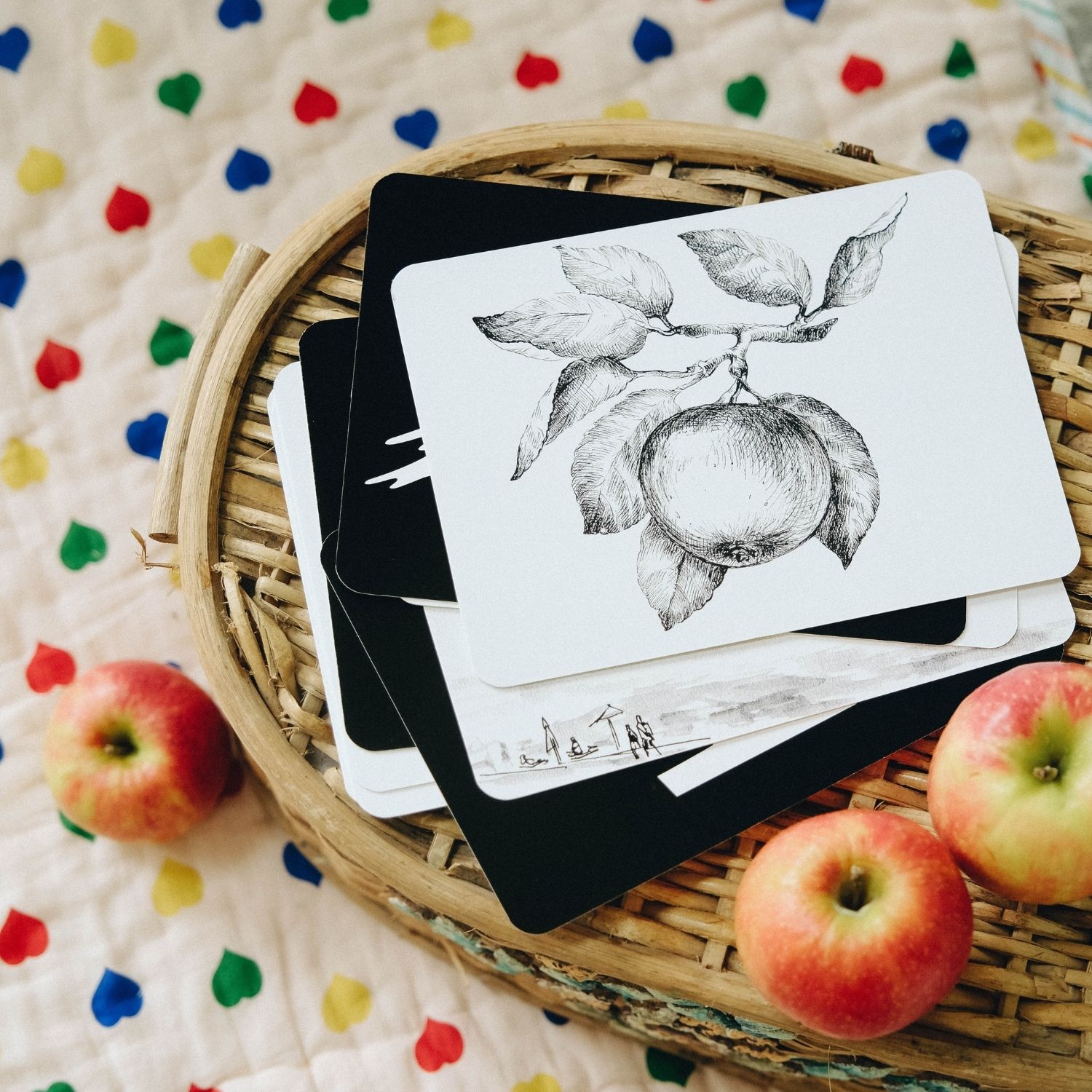 Coffret Mondy des P'tits Artistes (20 cartes constratées en noir & blanc) (Observe Édition) - Image 3