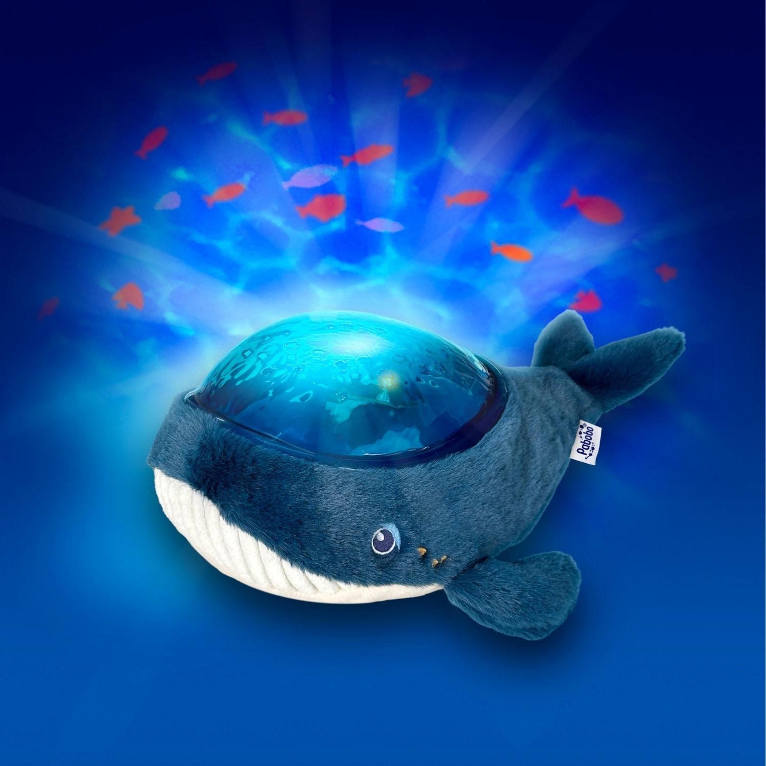 Veilleuse projecteur Aqua Dream Baleine - NEW 2025 (Pabobo) - Image 3