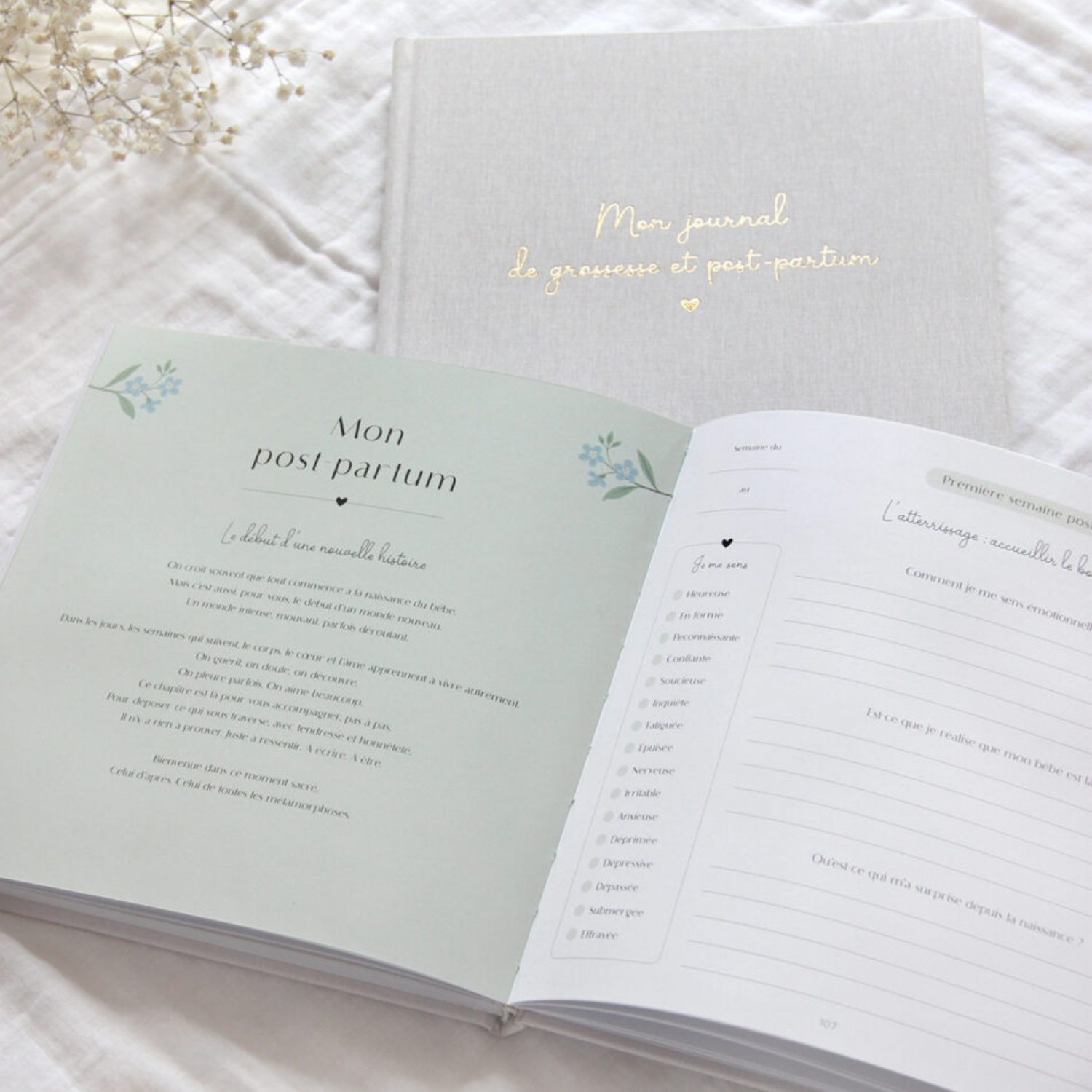 Journal de grossesse et post-partum (Zü) - Image 5