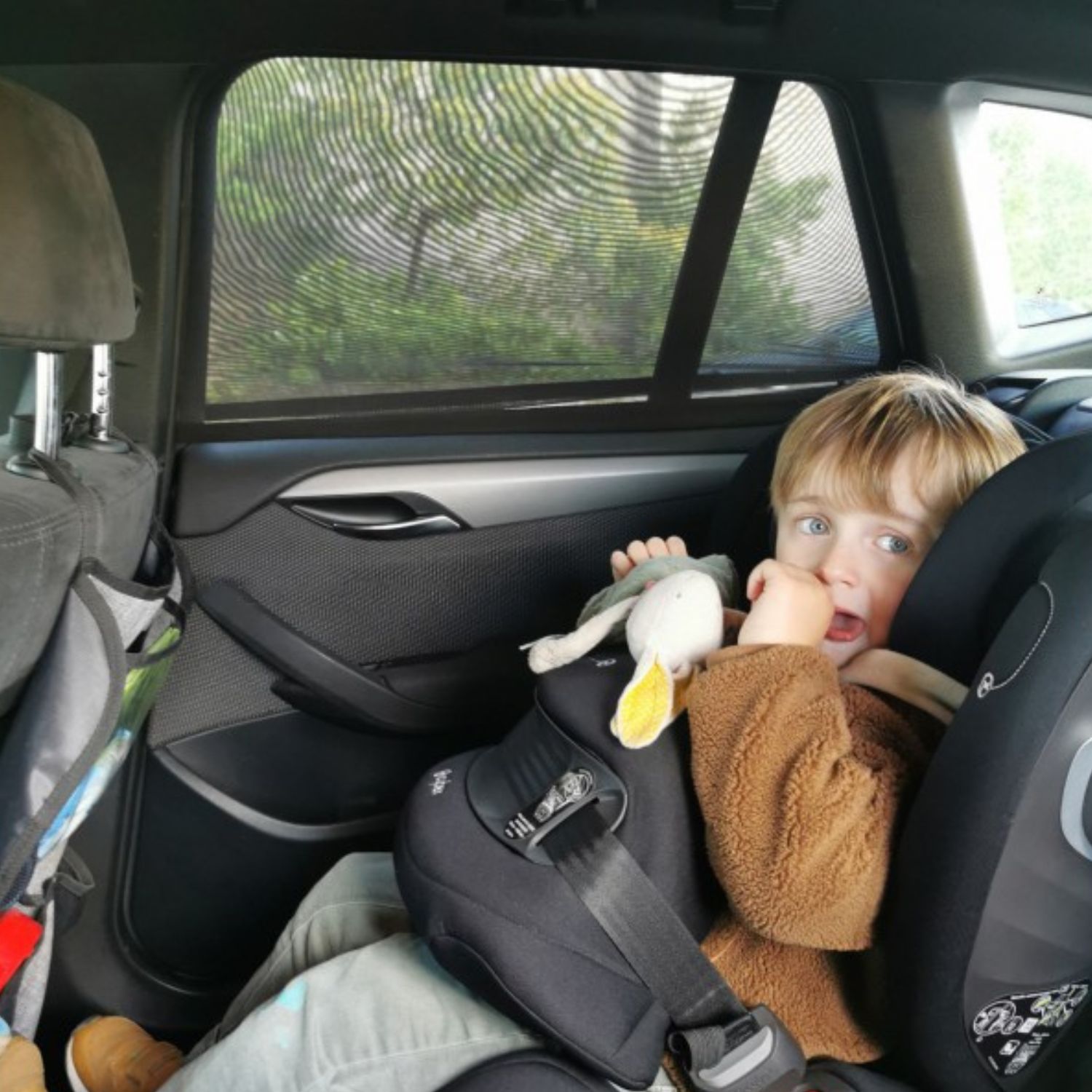 Lot de 2 pare soleil chaussettes (Tinéo) - Image 4