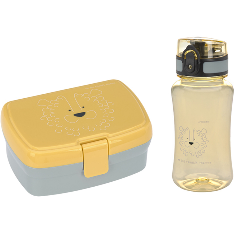 Set lunch box About Friends lion