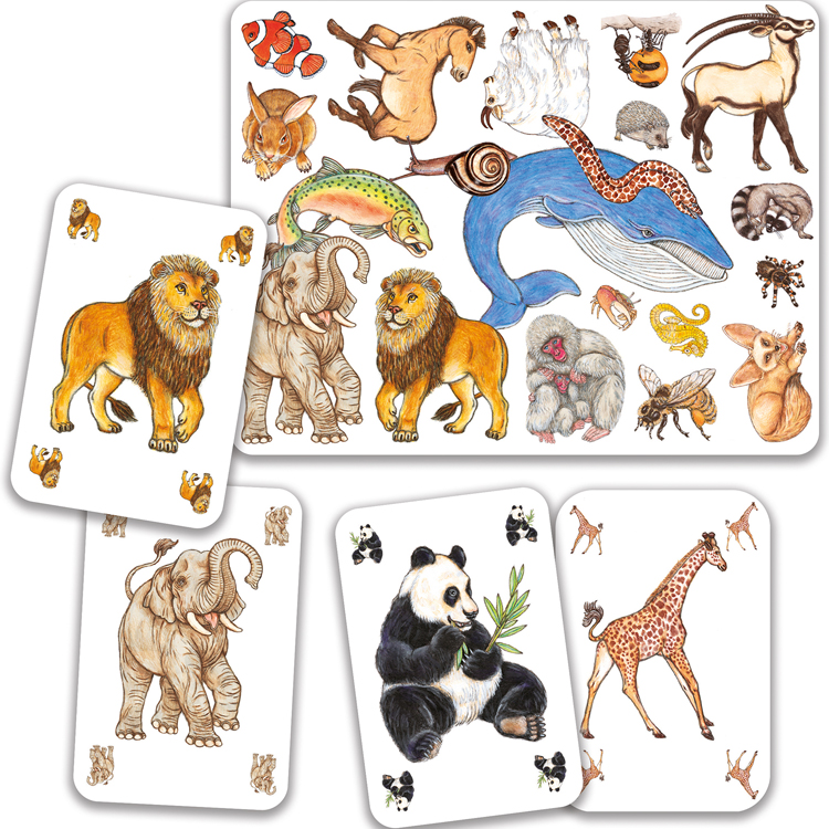 Jeu d'observation et de rapidité Zanimatch