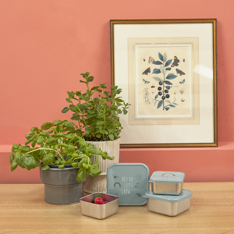 Lot de 3 boîtes à goûter Garden Explorer (Lassig) - Image 4