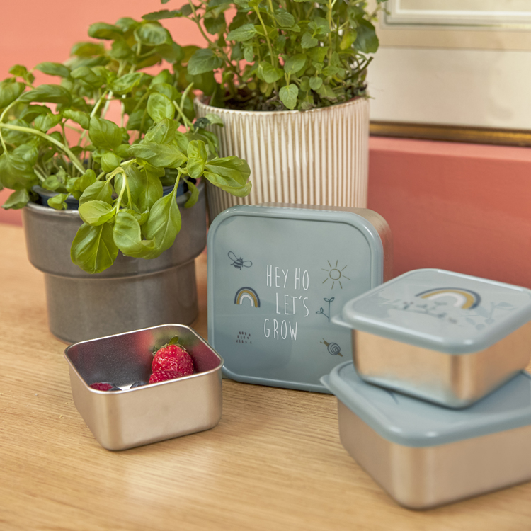 Lot de 3 boîtes à goûter Garden Explorer (Lassig) - Image 5