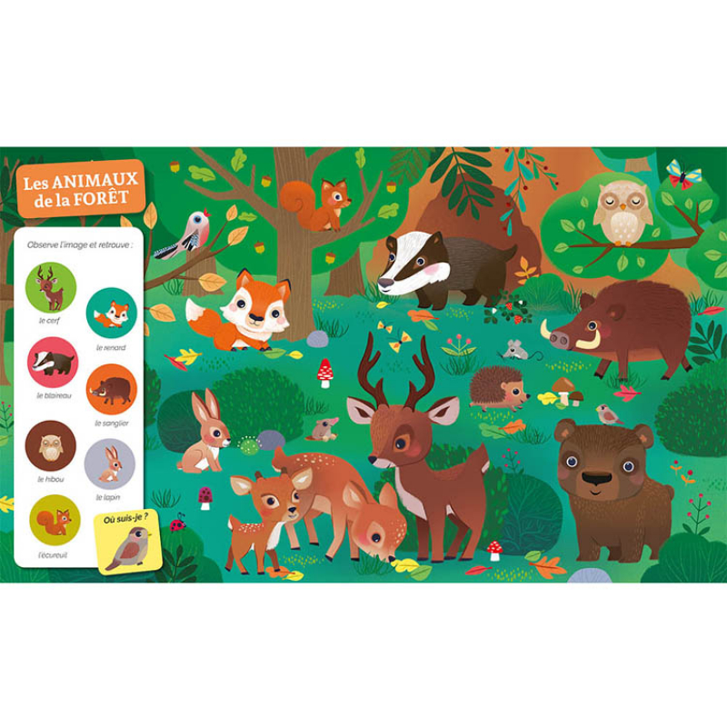 Livre Cherche et trouve des tout-petits Chez les animaux (Auzou Editions) - Image 5