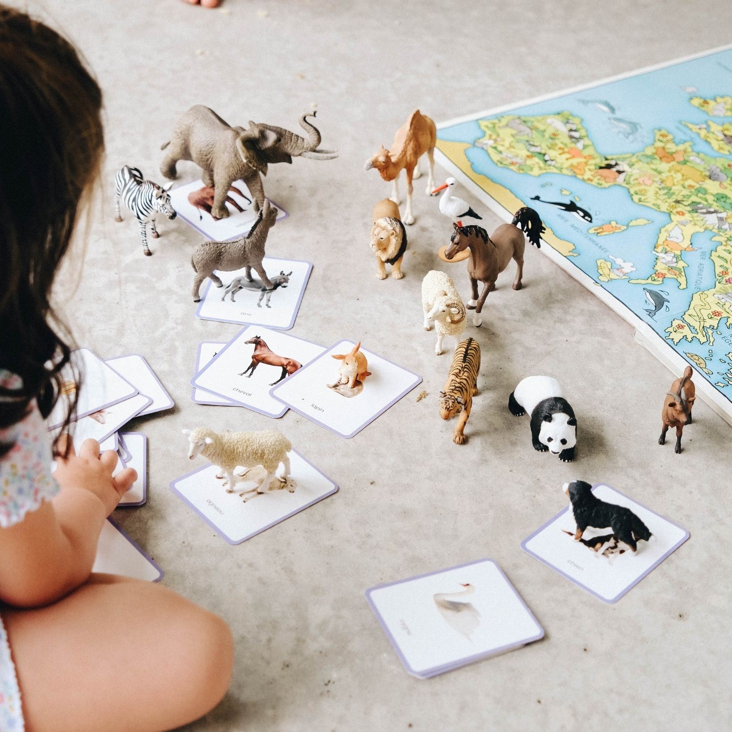 Coffret Giga Mondy (600 cartes Montessori pour développer le langage) (Observe Édition) - Image 1