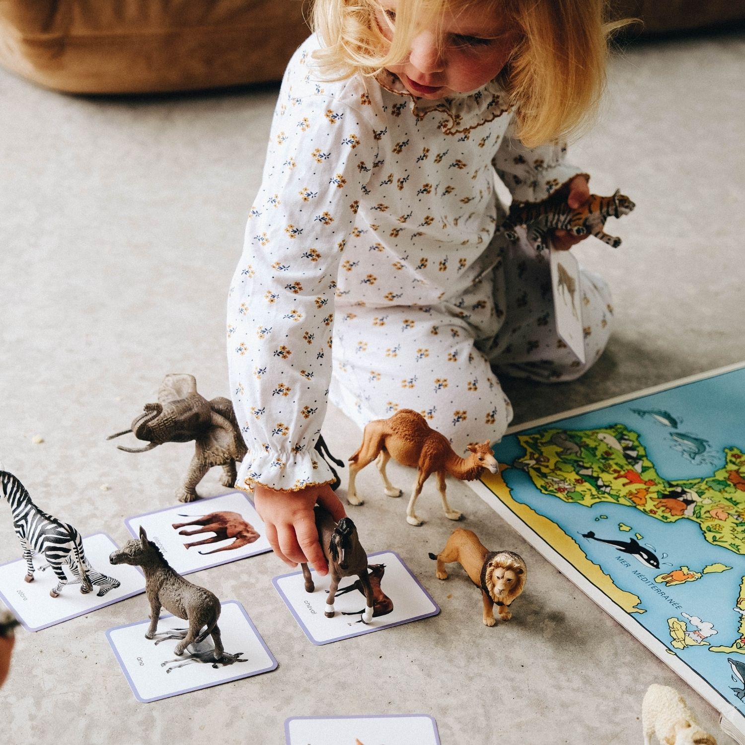 Coffret Giga Mondy (600 cartes Montessori pour développer le langage) (Observe Édition) - Image 3