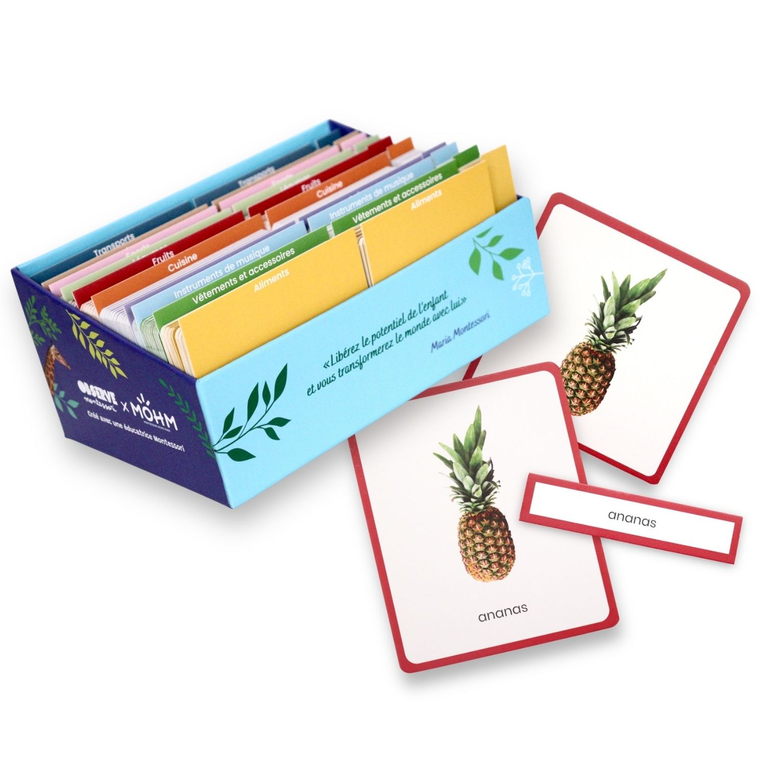 Coffret Giga Mondy (600 cartes Montessori pour développer le langage) (Observe Édition) - Image 7