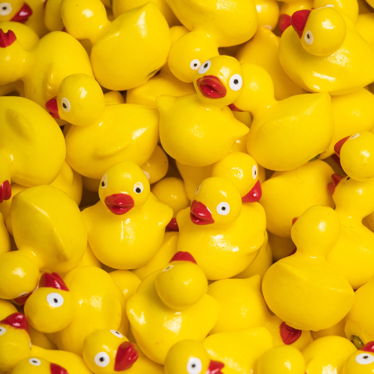 Bouteille sensorielle Move Ducky (Petit Boum) - Image 1