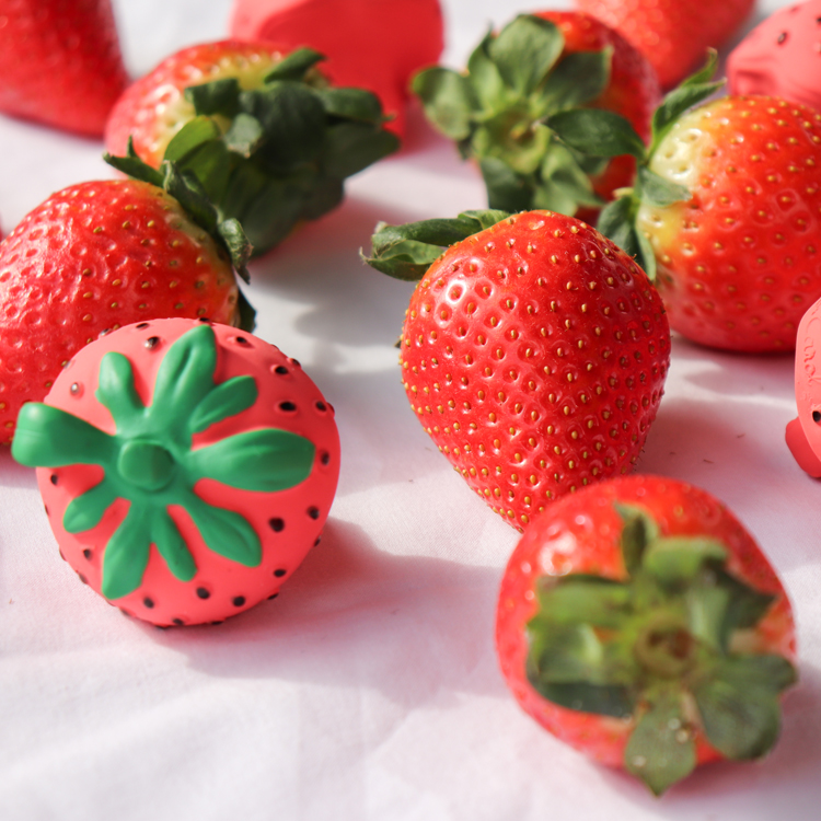 Mini jouet de dentition Chewy Sweetie la fraise (Oli and Carol) - Image 5