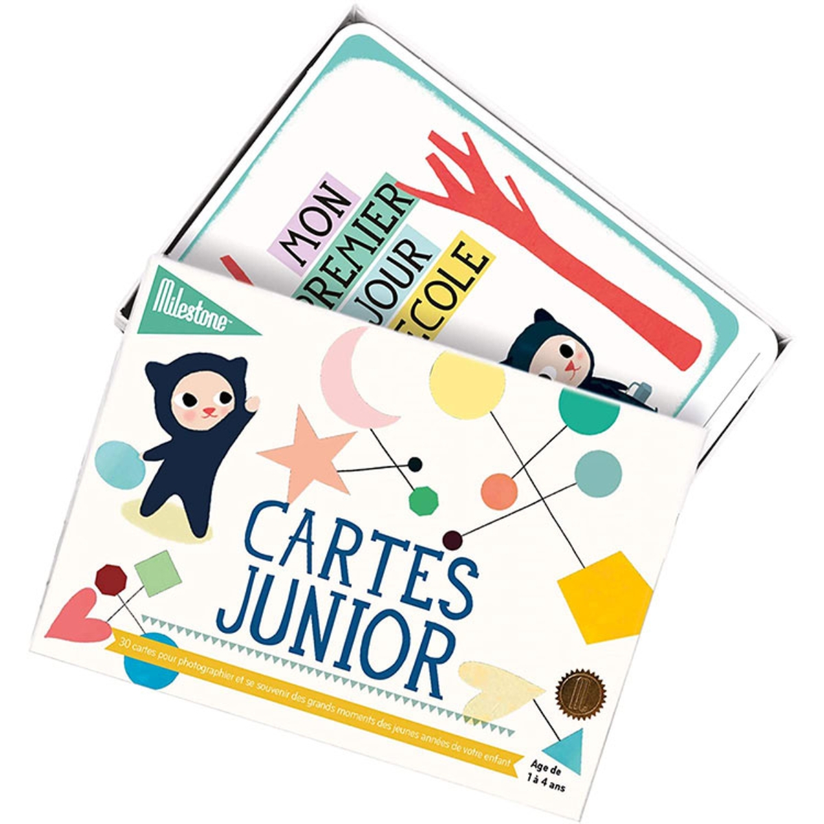 Cartes photos souvenirs Junior (30 cartes) (Milestone) - Image 3