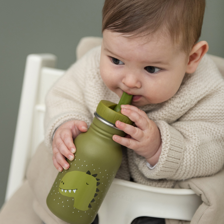 Gourde Mr. Dino (350 ml)