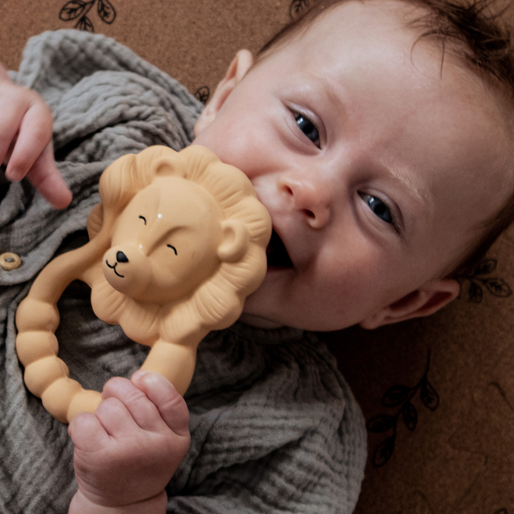 Anneau de dentition Lion (Natruba) - Image 4