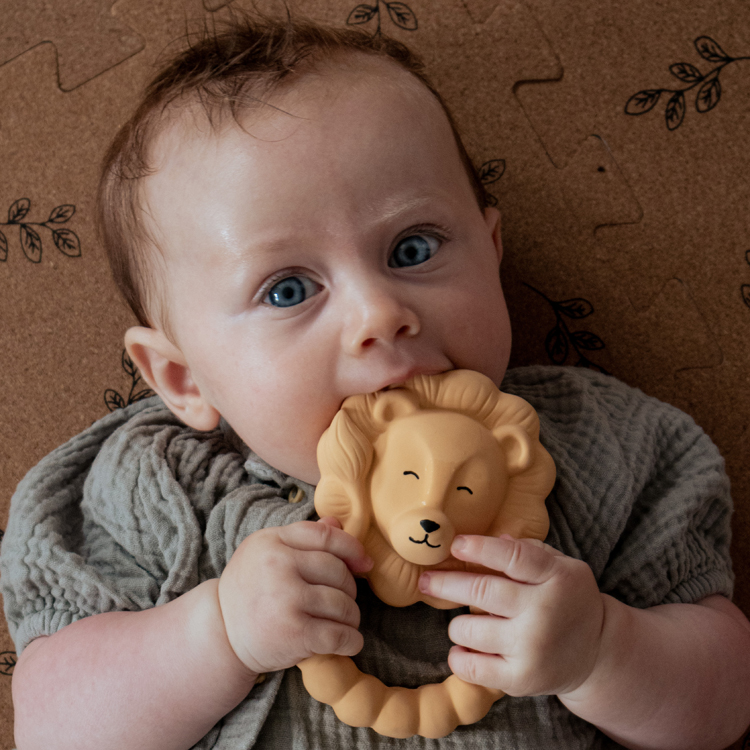Anneau de dentition Lion (Natruba) - Image 5