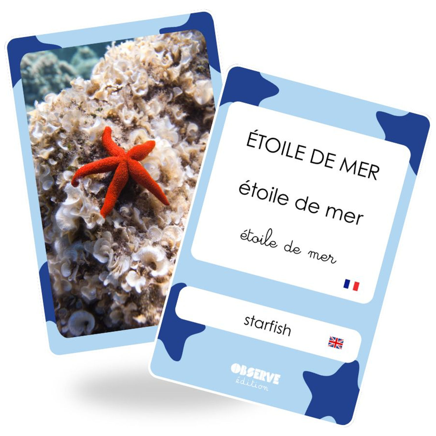 Cartes Flash Mers et Océans (40 cartes photos et mots) (Observe Édition) - Couverture