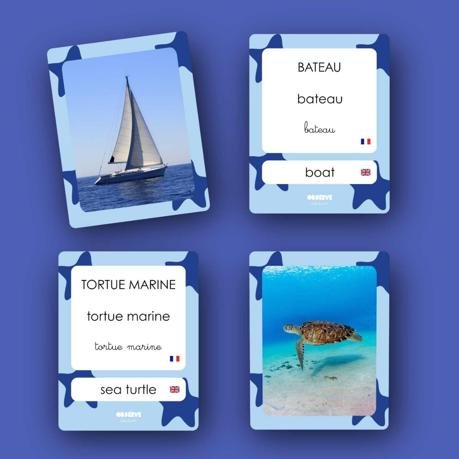 Cartes Flash Mers et Océans (40 cartes photos et mots) (Observe Édition) - Image 6