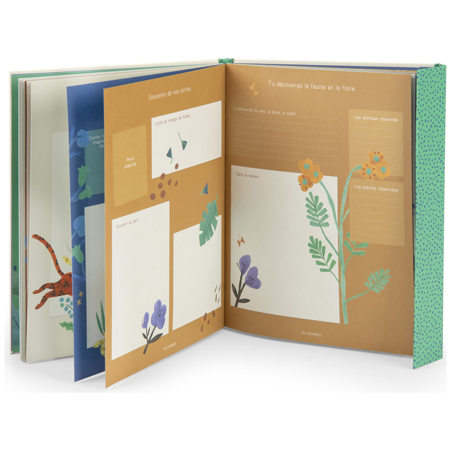 Moulin Roty - Livre de naissance La forêt Mawa (80 pages)