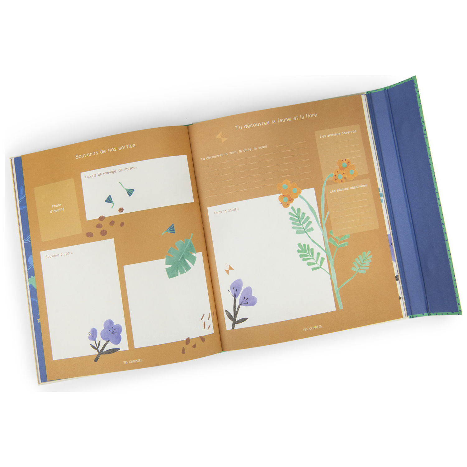 Livre de naissance La forêt Mawa (80 pages) (Moulin Roty) - Image 1