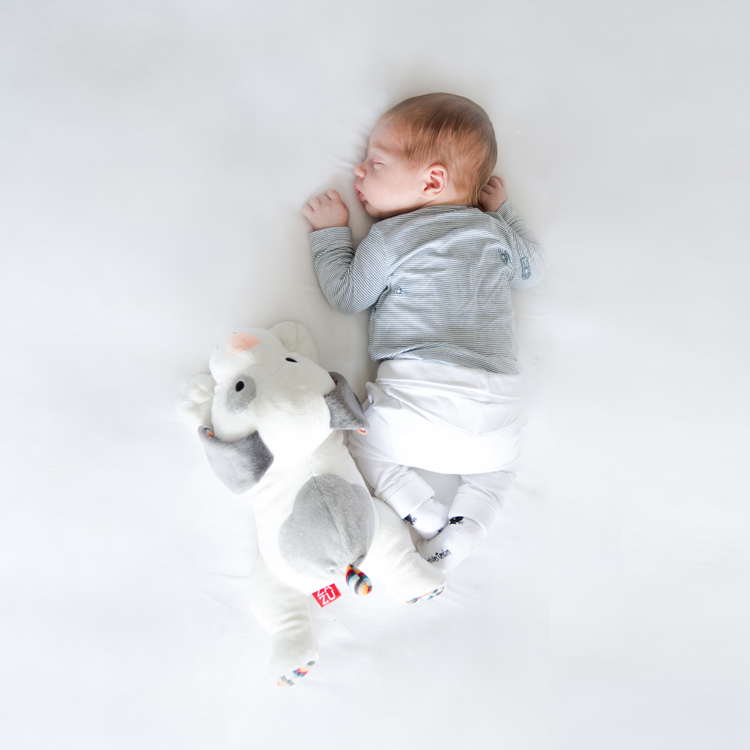 Peluche bruit blanc ou musicale Dexy le chien - Reconditionné (ZAZU) - Image 3