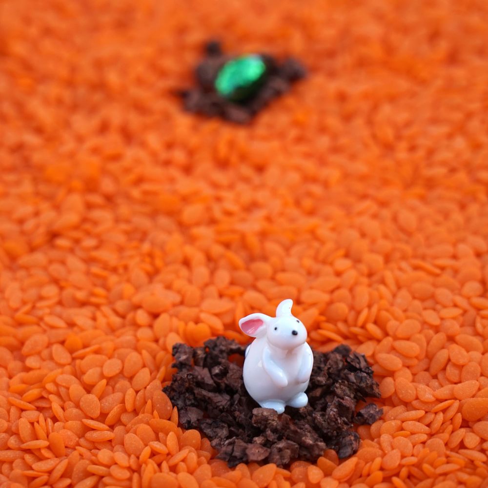 Bouteille sensorielle Sound Rabbit (Petit Boum) - Image 4