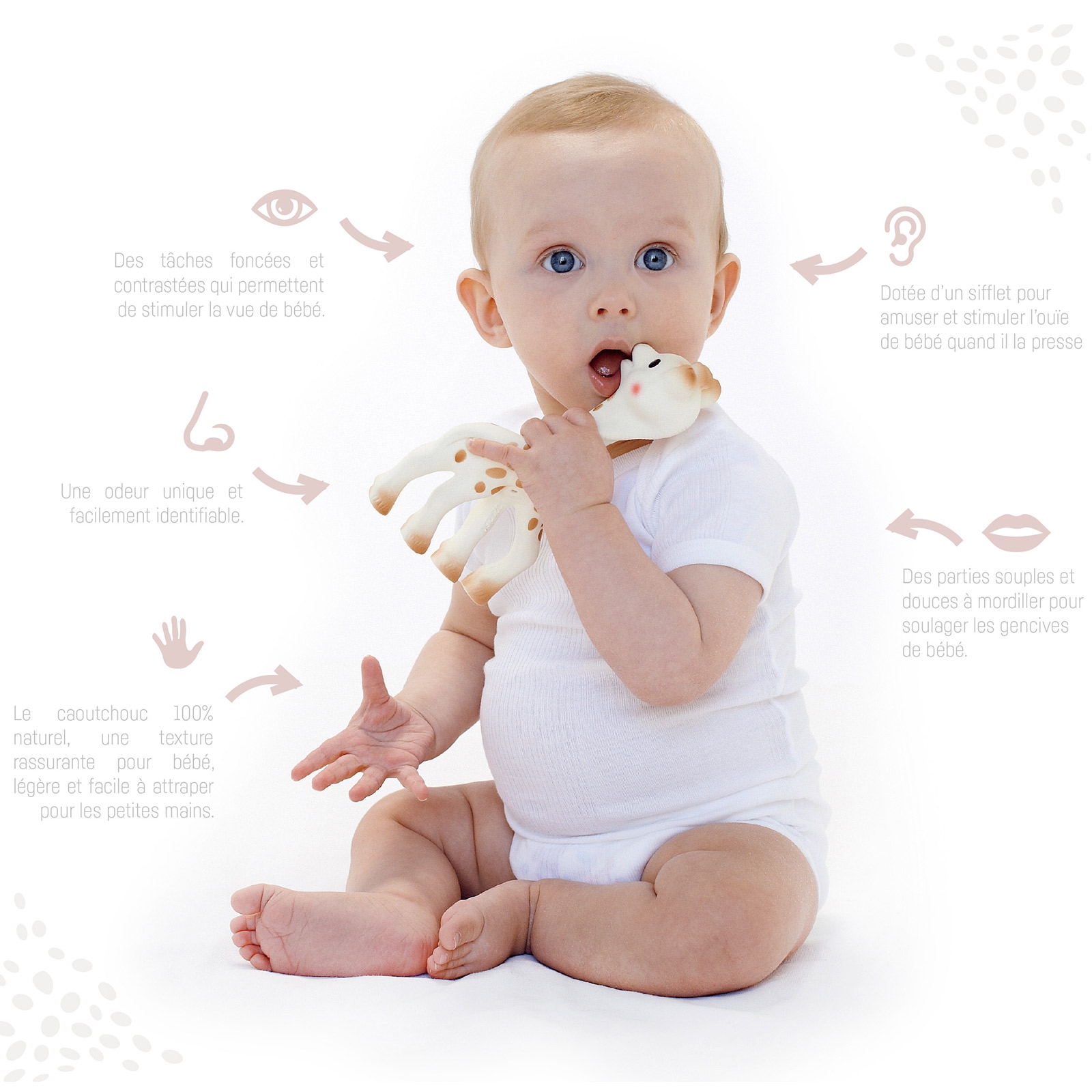 Sophie la girafe en boîte cadeau (18 cm) (Sophie la girafe) - Image 2