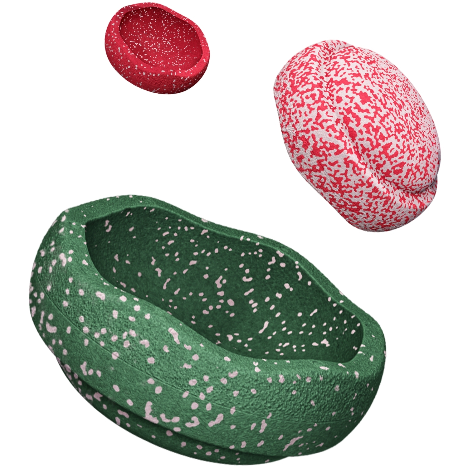 Parcours+de+motricite