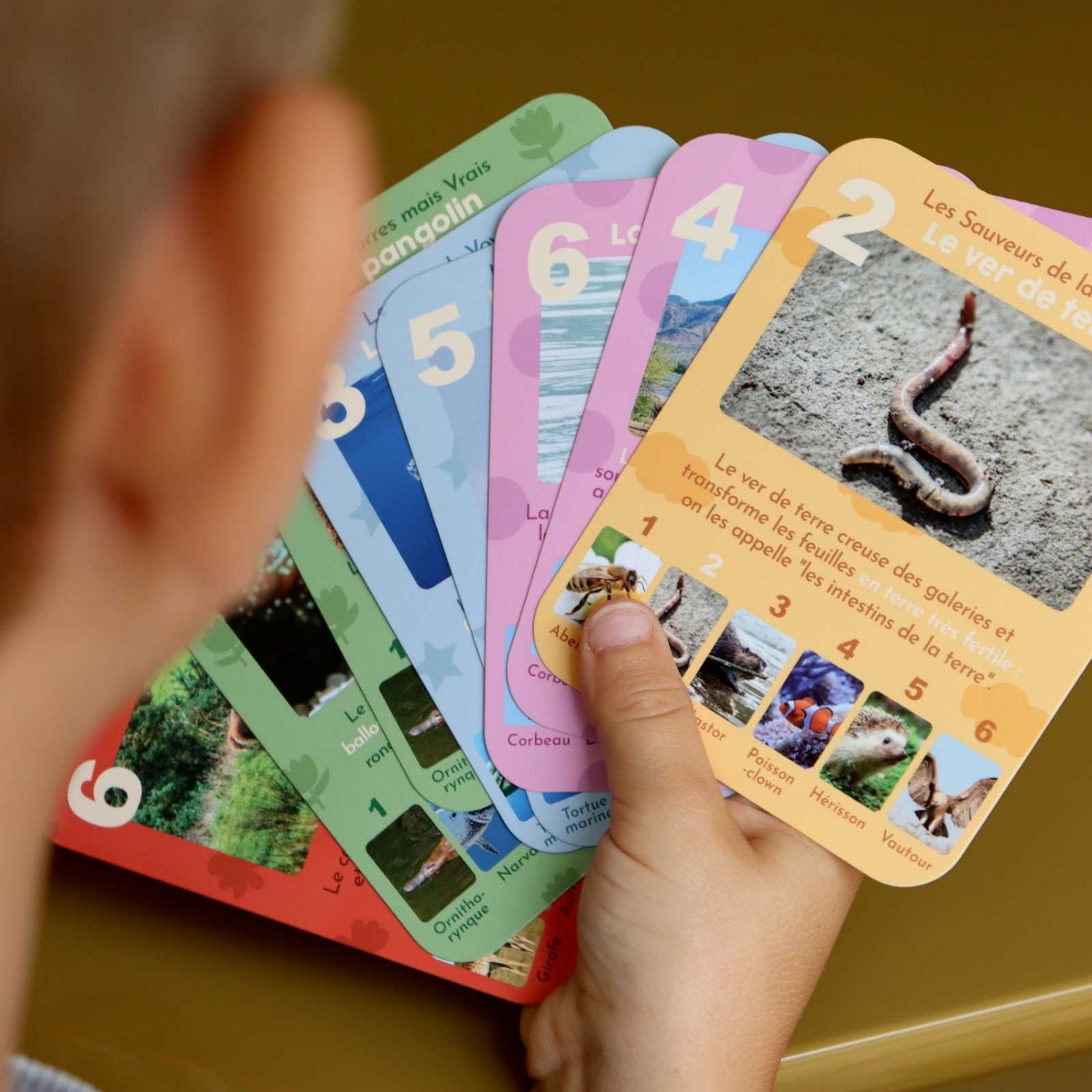 Jeu de 7 familles Animaux Rigolos (Observe Édition) - Image 1