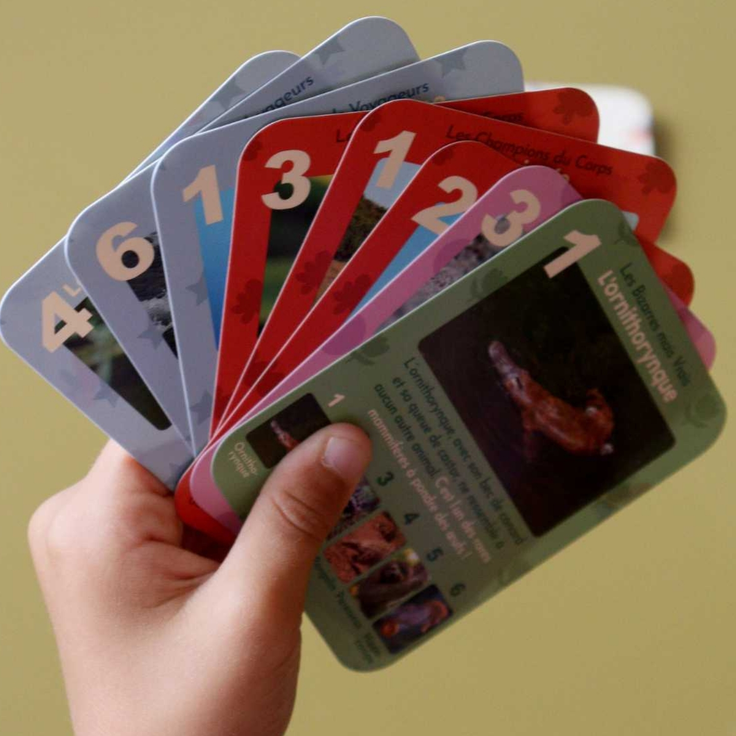 Jeu de 7 familles Animaux Rigolos (Observe Édition) - Image 4