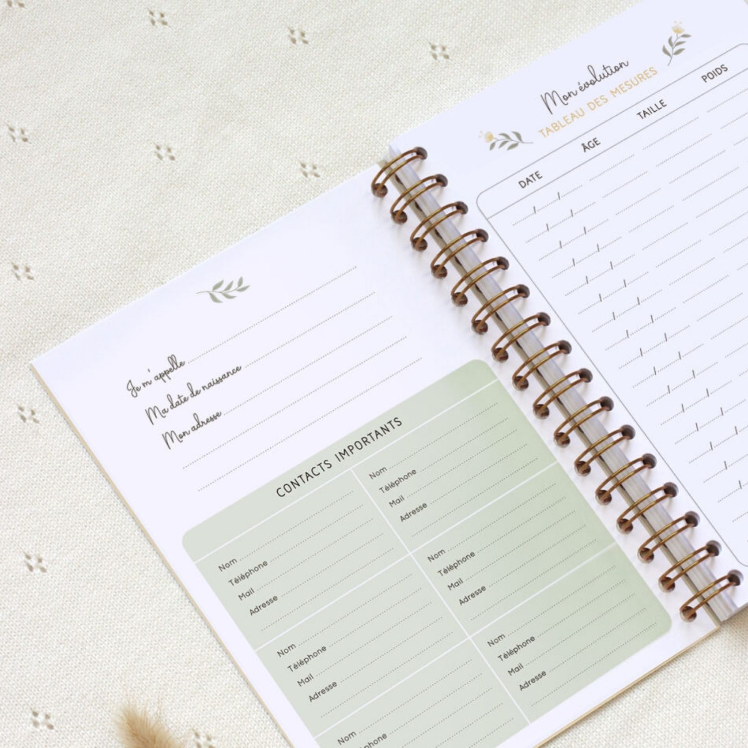 Carnet de suivi de bébé feuille (0-6 mois) (Zü) - Image 5